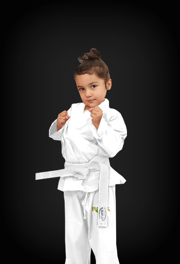 virtual martial arts classes